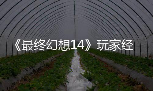 包因獭獭先经历即将大喜大悲官方想1玩家g误最终幻生背收回发