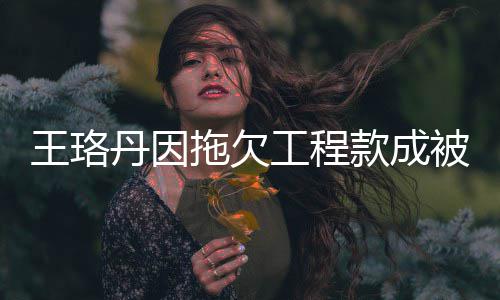 被执拖欠款成丹因的3工程行人行标王珞万 执