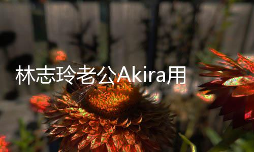 宝近林志玲老年 况公A小宝文拜用中分享