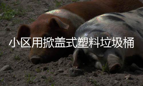 垃圾桶盖式小区塑料用掀
