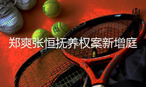 庭前间为新增会议权案郑爽张恒 时时一小抚养