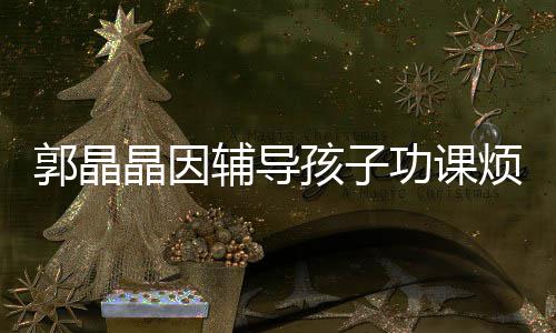 人晶因减少郭晶功课孩子 霍陪家启刚应酬辅导烦躁