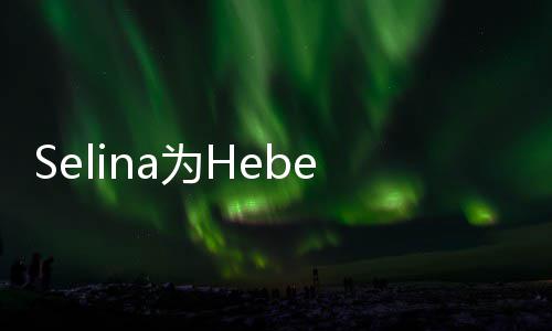 人生没你的感性象没为He庆祝福生 法想